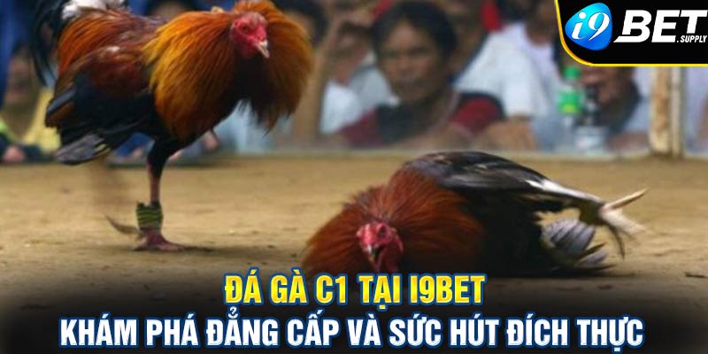 Đá gà c1 tại i9bet - Khám phá đẳng cấp và sức hút đích thực