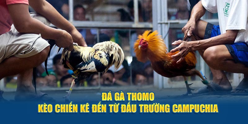 da-ga-thomo-4